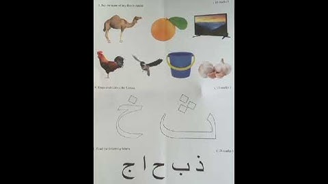 #asmi lkg arabic exam questions