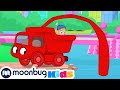 A Pool in the Backyard | Mila & Morphle | Cartoons for Kids | Moonbug Kids