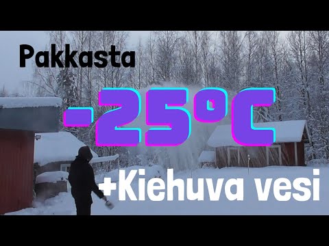 Video: Kystinen Vs. Kiehuva: Mikä Ero On? Vinkkejä Tunnistamiseen