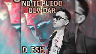 Video thumbnail of "Dyesh  No Te Puedo Olvidar (Lyric Video)"