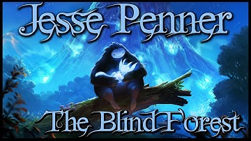 Video Game Music - The Blind Forest