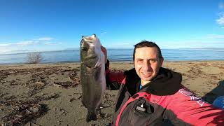 SOS/ΜΗΝ ΨΑΡΕΥΕΤΑΙ ΜΕ ΑΥΤΟΝ ΤΟΝ ΤΡΟΠΟ ΣΤΙΣ ΠΛΗΜΜΎΡΕΣ/ΨΑΡΙ ΜΕ ΤΑ ΧΕΡΙΑ