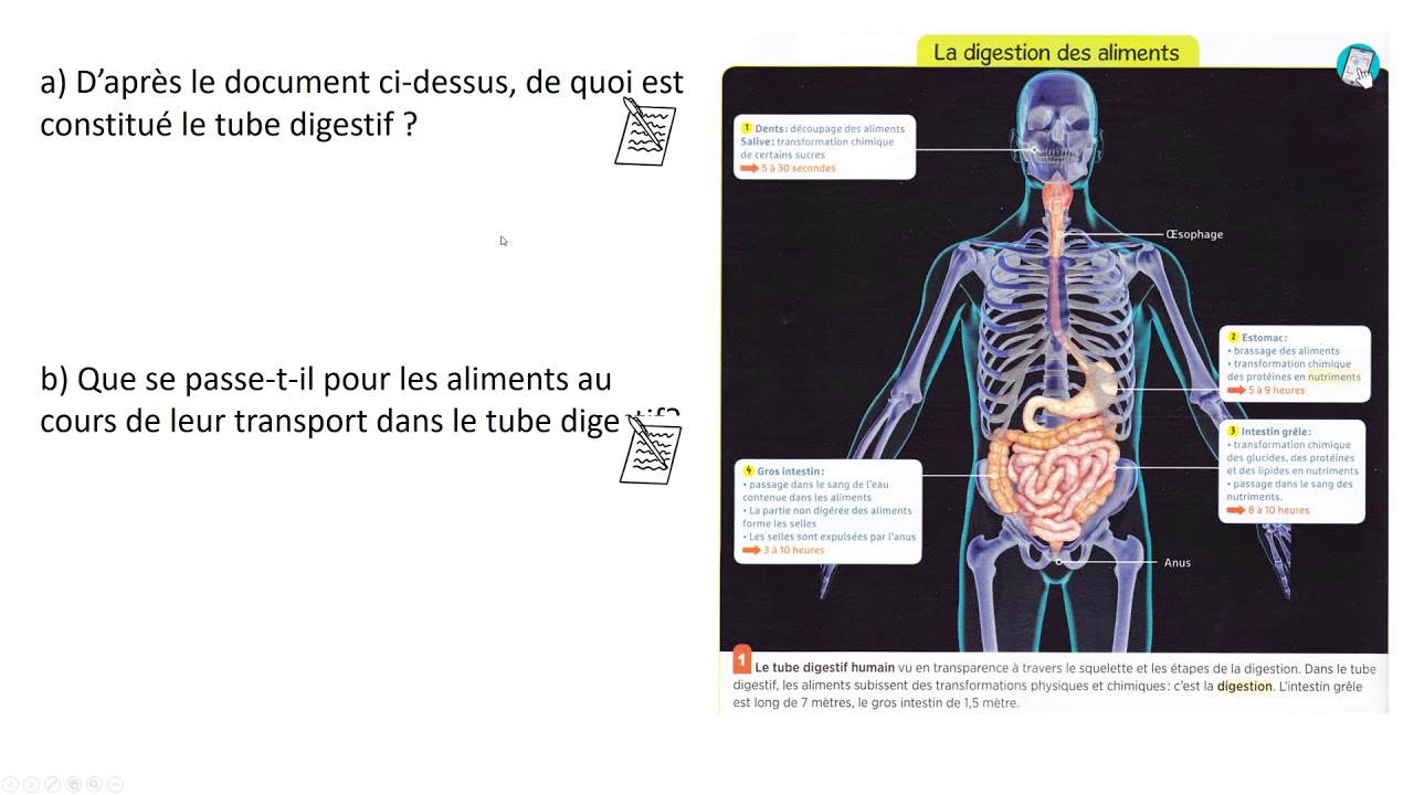 évaluation Svt 6ème Conservation Des Aliments