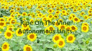 Autonomous Units - Ripe On The Vine (Official Lyric Video)