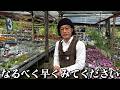 お知らせになります【カーメン君】【園芸】【ガーデニング】