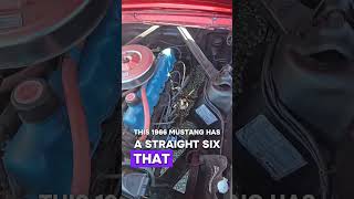 This is our first look at the straight 6 Ford Mustang engine from 1966!