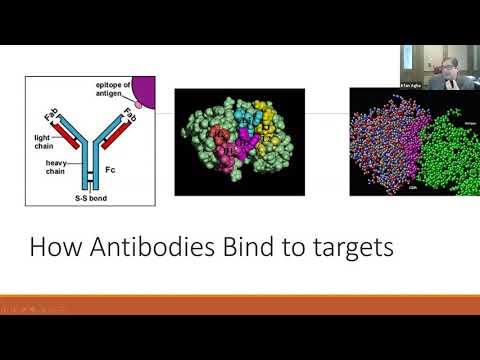 Video: Mapiranje HLA-A2, -A3 I -B7 Superstipno Ograničenih Epitopa T-stanica U Proteomu Ebolavirusa