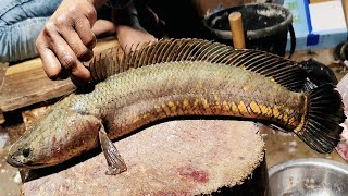 Incredible Snake Head Sola Fish Cutting Skills Live In Bd Fish Market Cutting Pro