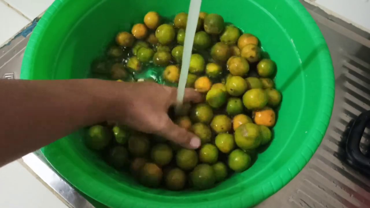 Buat Minuman Jeruk Kietna atau Jeruk Kasturi - Iseng Dirumah 