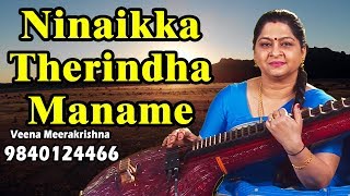 Ninaikka Therindha (நினைக்கத் தெரிந்த) - Film Instrumental by Veena Meerakrishna