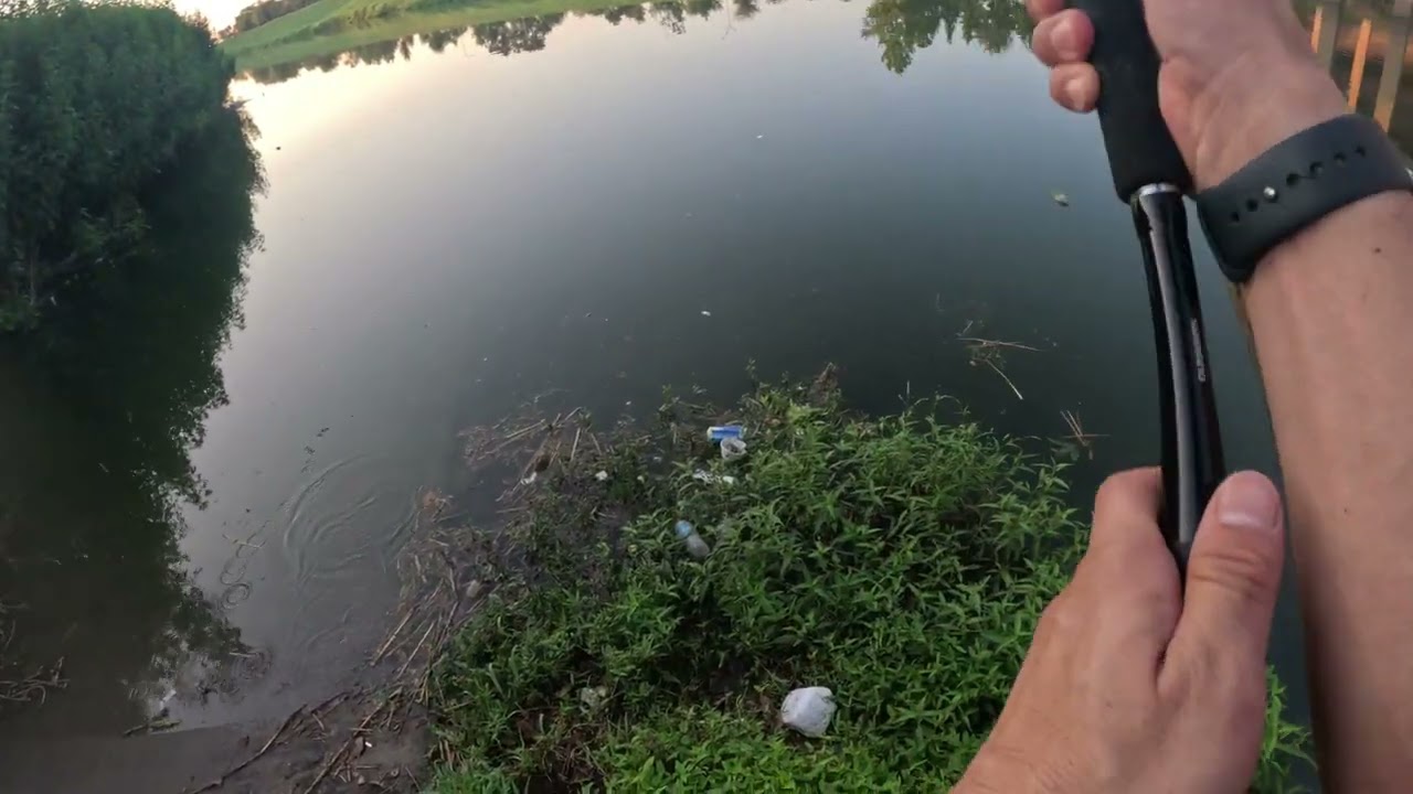 4K Bass Fishing in USA Largemouth Bass  Alligator Shimano Calcutta Conquest Casting Reel Megabass