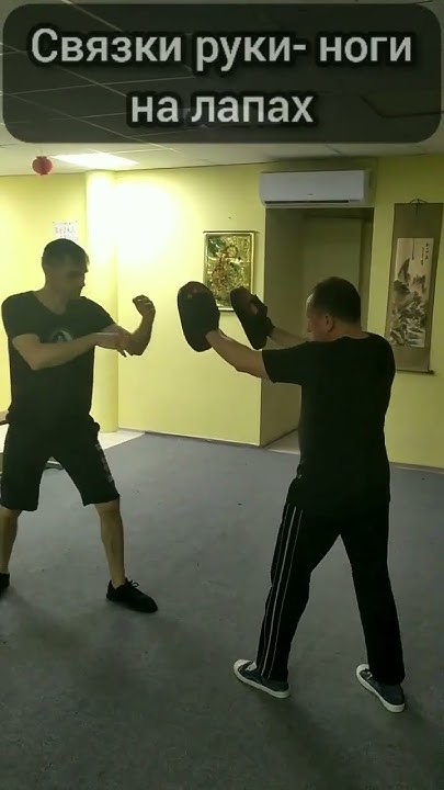 Связки руки- ноги на лапах #shorts - YouTube