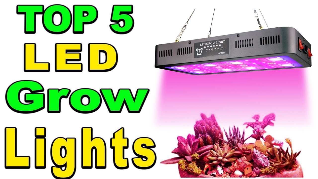 TOP 5 Best LED Grow Lights Review 2023 - YouTube