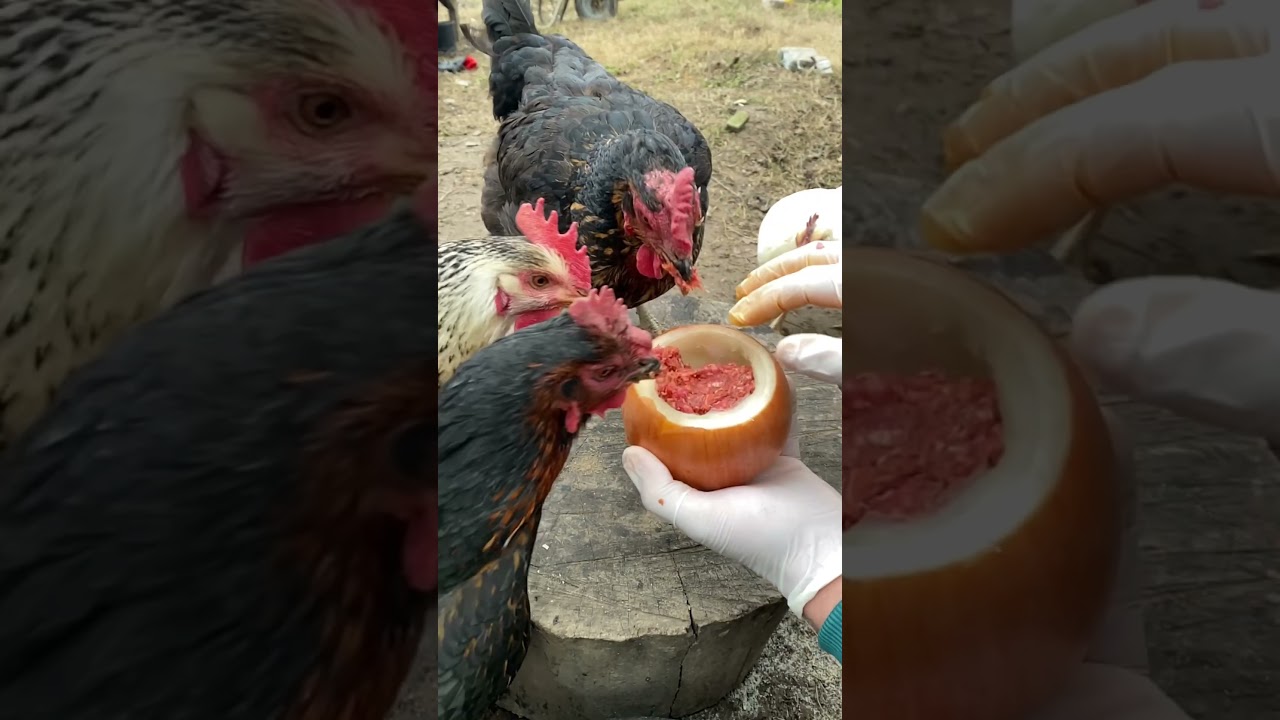 Sucuklu Kıymalı Soğan ???????? #Yemek #yemektarifleri #food #içerik #sausage #tavuk #chicken Sucuklu Kıymalı Soğan ???????? #Yemek #yemektarifleri #food #içerik #sausage #tavuk #chicken