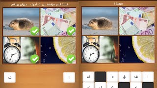 حيوان برمائي من 6 حروف كلمات متقاطعة وصور مرحلة 1 المجموعة الأولى screenshot 5