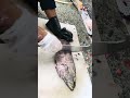 Amazing fish cutting🥰🥰#viralvideo #foryou #seafood #trending
