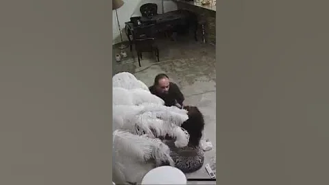 ضرب هدير عبد الرازق لايف الفيديو كامل 