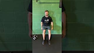 Wall Sit with Isometric Press Back into Wall