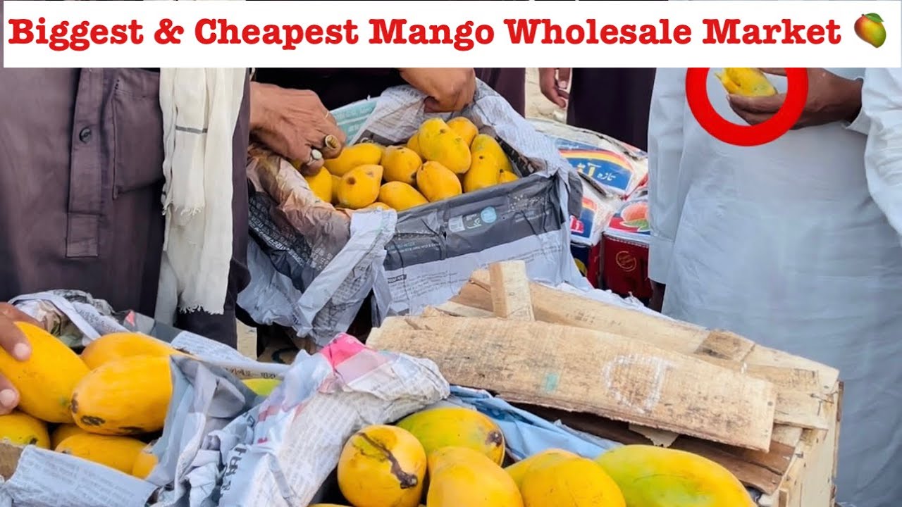 Biggest and cheapest Mango Wholesale Market Fruit Business YouTube