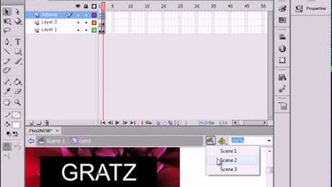 Flash Error Code 1009