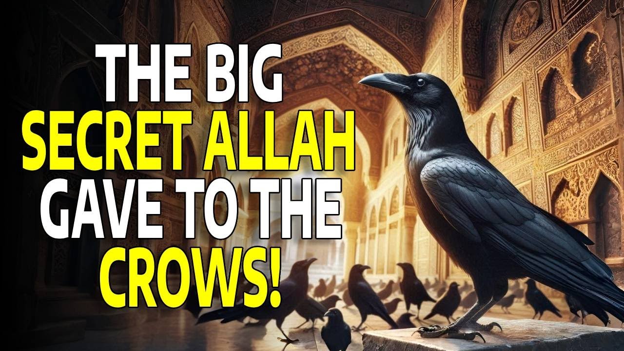 CROWS IN THE QUR'AN? The HIDDEN TRUTH Allah Revealed Centuries Ago