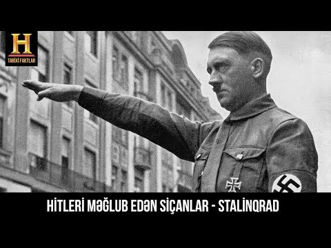 Video: Stalinqrad döyüşü viktorinasının əhəmiyyəti nə idi?