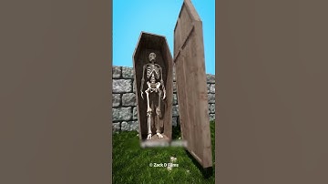 Why Coffin Box Bans Are Actually Terrifying