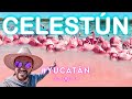 Video de Celestun