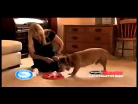pet supermarket clinic Dog Magic Interactive Game