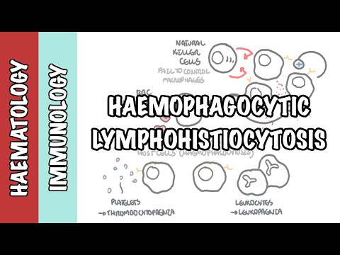 HLH I Hemophagocytic Lymphohistiocytosis - cause, pathophysiology, investigation and treatment