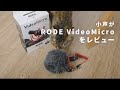 小声がRODE ロード VideoMicro 超小型コンデンサーマイクをレビュー