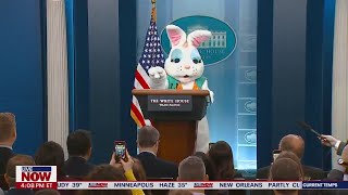 Airline mask mandate: White House weighs in on judge's ruling to end ban | LiveNOW from FOX