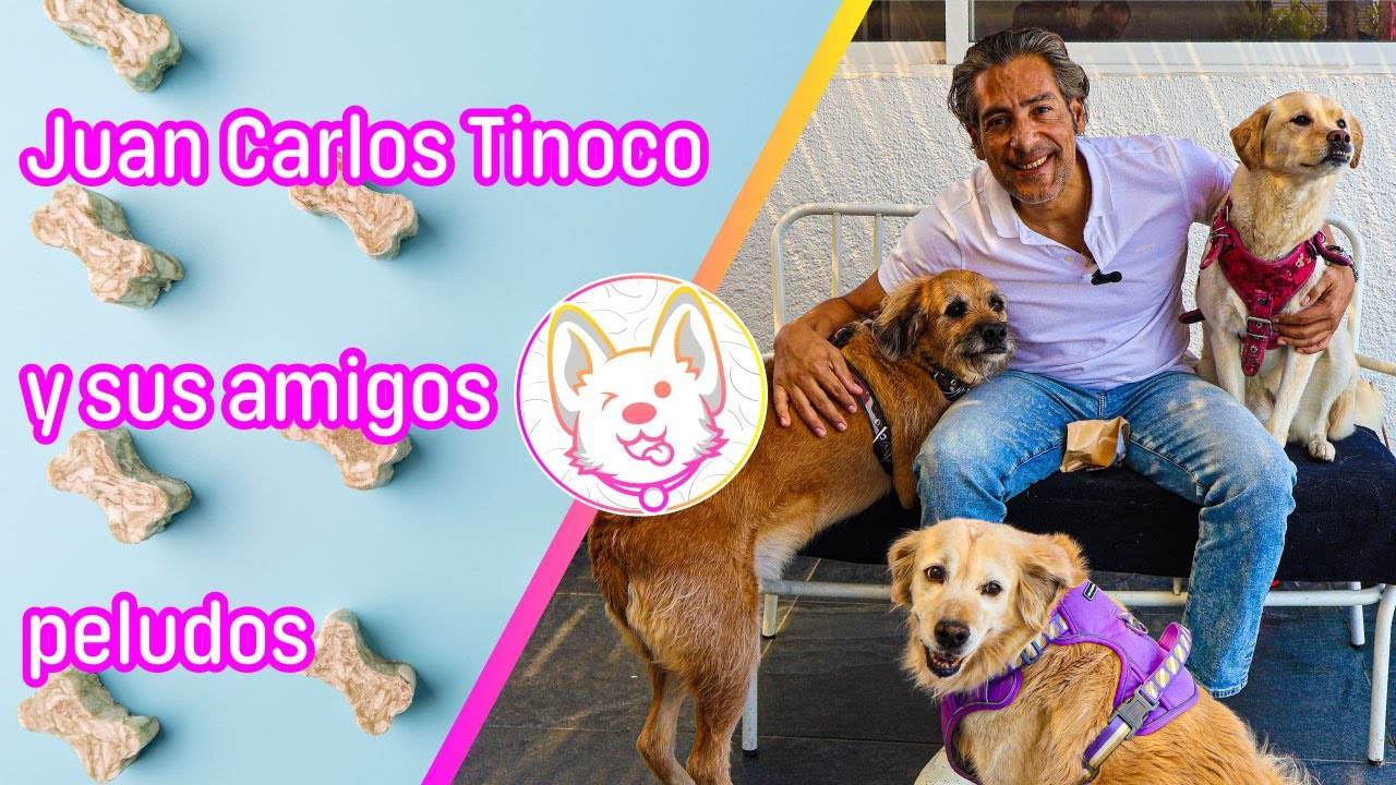 ¡Conocen más a mis perros que a mi...! Entrevista con Juan Carlos Tinoco y sus amigos peludos
