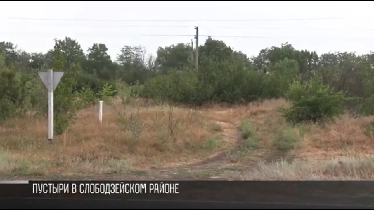 Земельный вопрос: пустыри и бесхозные участки - YouTube