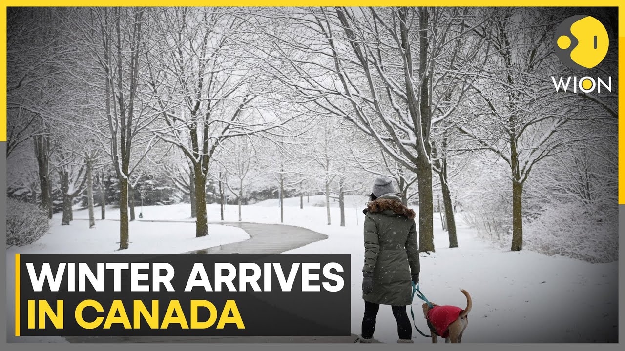 Winter Arrives in Canada: Toronto Sees First Snowfall | WION
