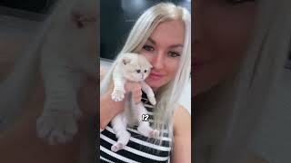 When to deworm kittens? 🪱🤔