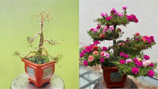 How To Make Moss Rose | Portulaca Grandiflora Bonsai With Small Zinc Sticks | Mẹo Vặt Cuộc Sống