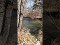 На левом Уриле/Тайга. Д.В./