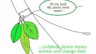 linfabeat concept storyboard