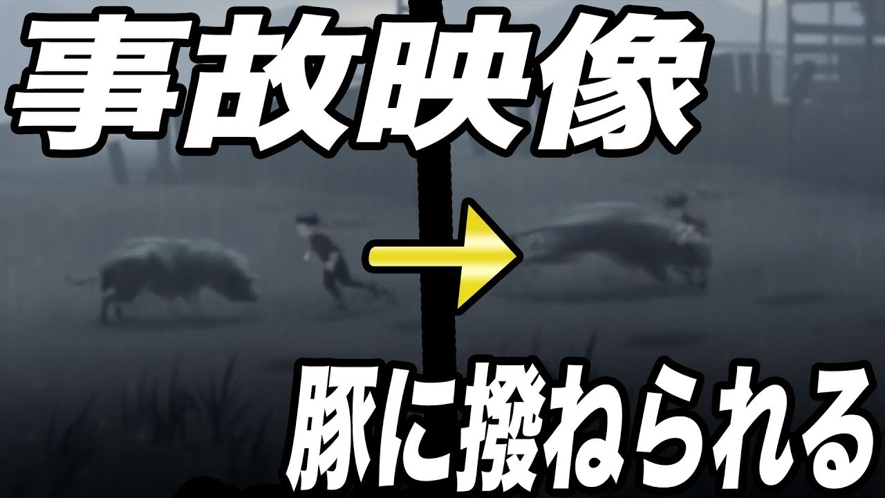 組織から追われている少年が豚に撥ねられる衝撃動画【INSIDE】＃1