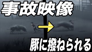 組織から追われている少年が豚に撥ねられる衝撃動画【INSIDE】＃1