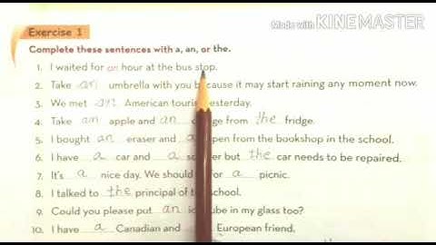 MLZS JHANSI CLASS 5 English Grammar Chapter 2 Articles Lecture 2