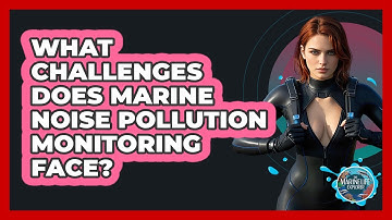 What Challenges Does Marine Noise Pollution Monitoring Face? - The Marine Life Explorer
