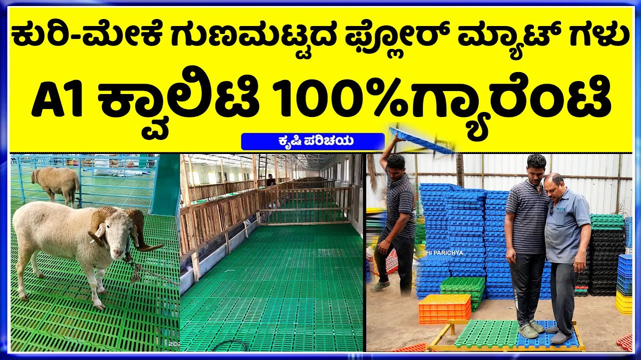 ಎಲ್ಲಾ ರಾಜ್ಯಗಳಿಗೂ ಹೋಲ್ಸೇಲ್ ದರದಲ್ಲಿ ಮಾರಾಟ Plastic Slatted Floor Mat for Goat and Sheep