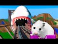 Hamster on Crazy Roller Coaster with Giant Shark!