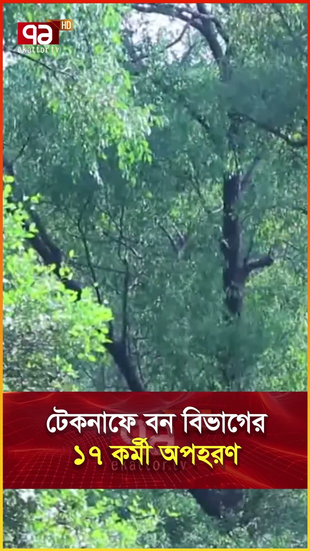 টেকনাফে বন বিভাগের ১৭ কর্মী অপহরণ