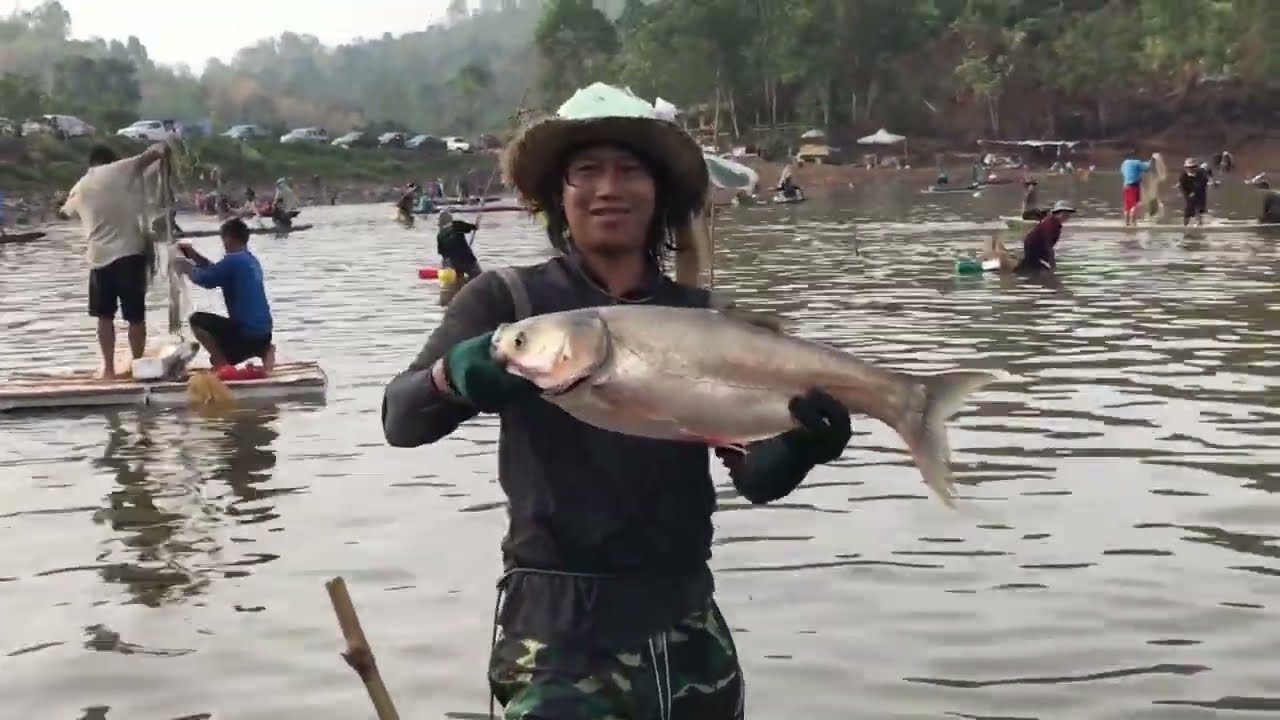 ยกยอ ปลาใหญ่ม่วนขนาด