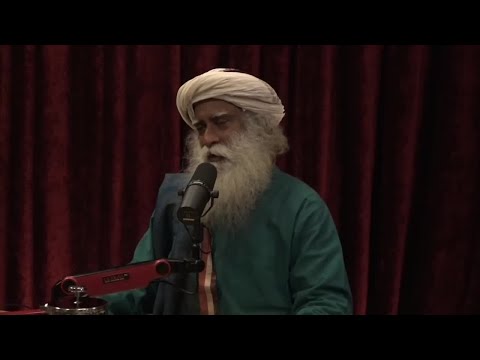 Sadhguru and Joe