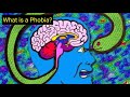What is a Phobia? Types of Phobias?
