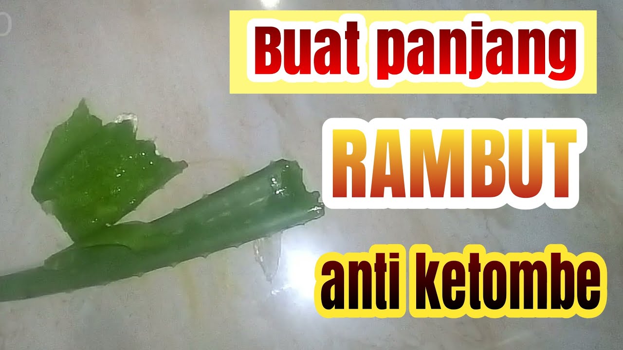 mengejutkan !! manfaat Lidah buaya untuk pertumbuhan Rambut 